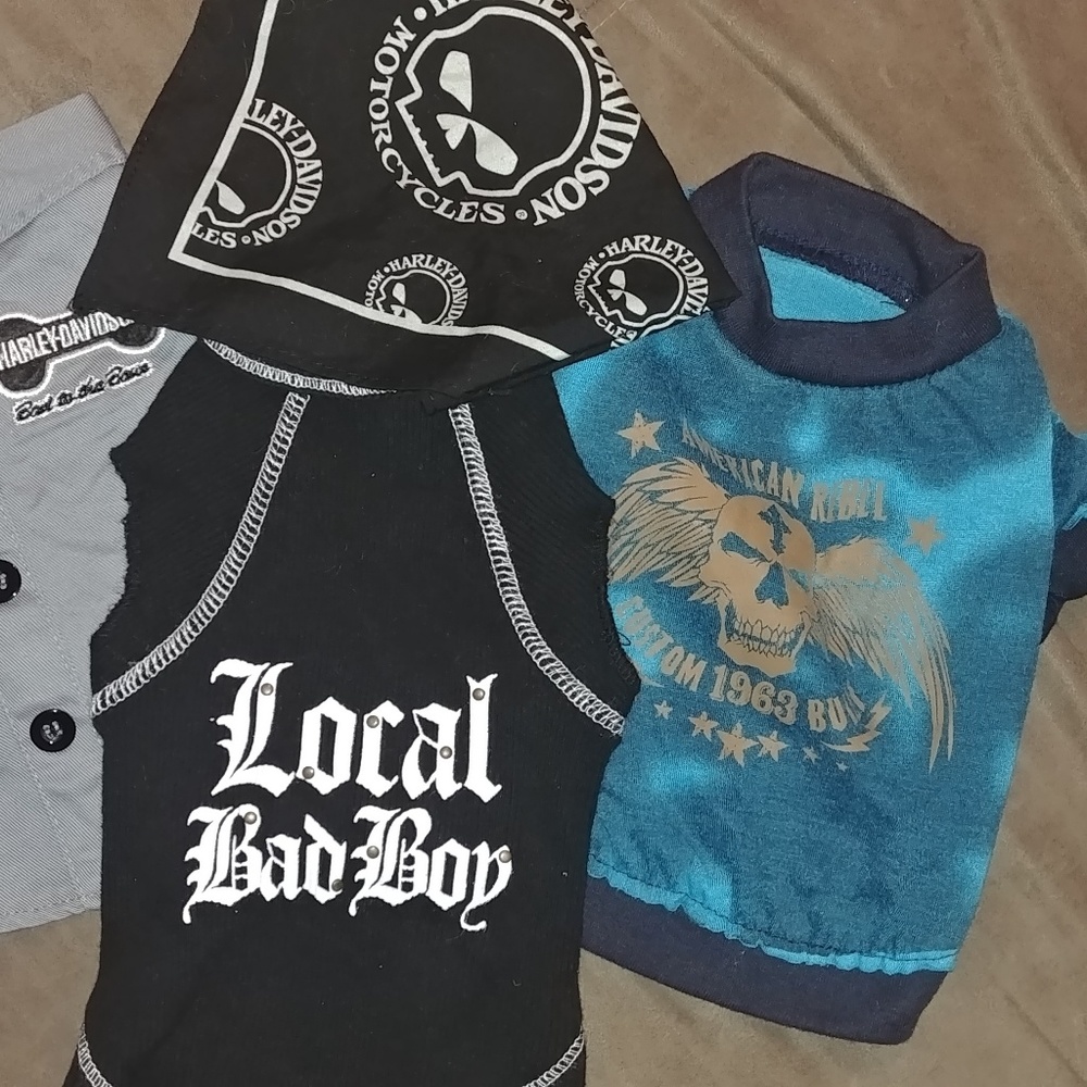 Dog apparel